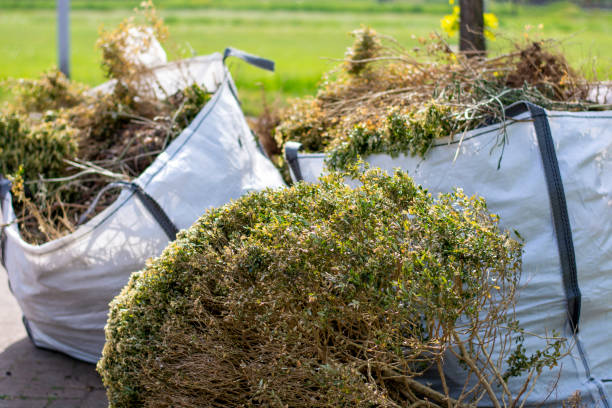 Best Residential Junk Removal  in Woodbury, MN
