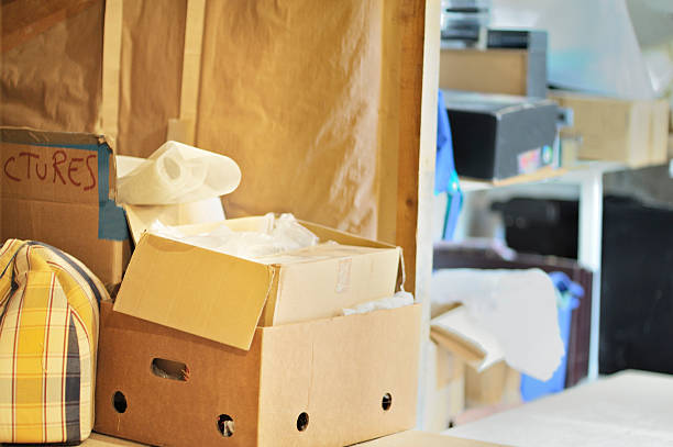 Best Trash Removal Near Me  in Woodbury, MN
